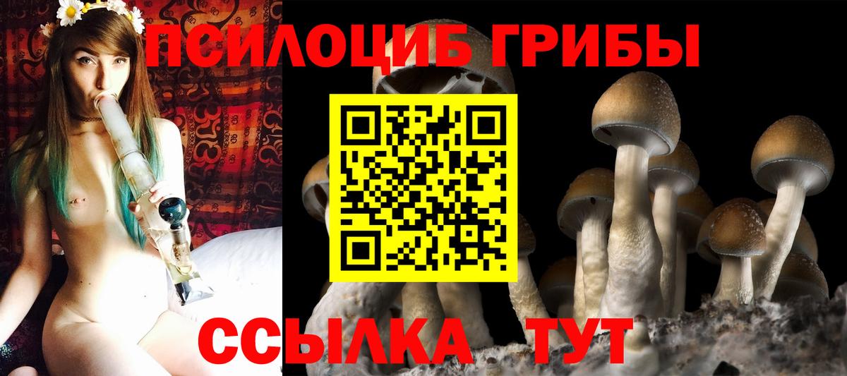 Нурлат  Галлюциногенные грибы Magic Shrooms  Вход с VPN 